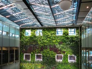 ceiling daylight green