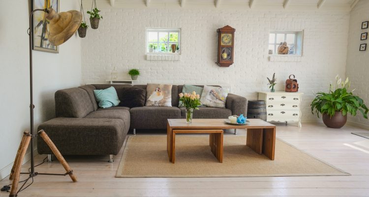 mold remediation removal